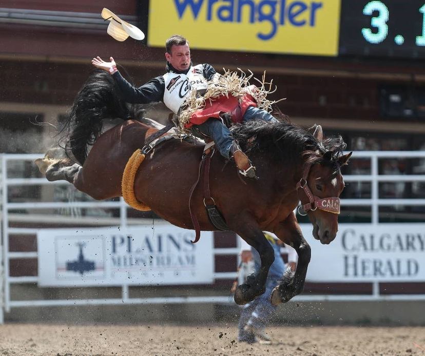 Calgary Stampede Rodeo | Canada's Alberta