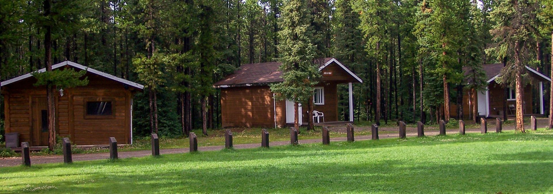 Row of rustic wooden cabins set among tall trees and green grass.
