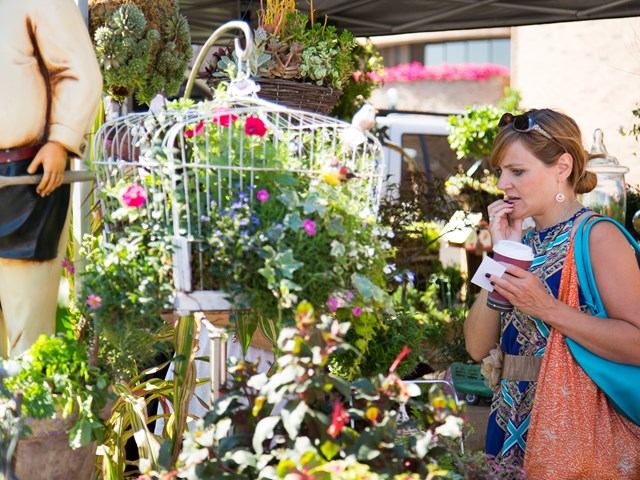 Colorful flowers and plants displayed in a decorative birdcage at an outdoor market.