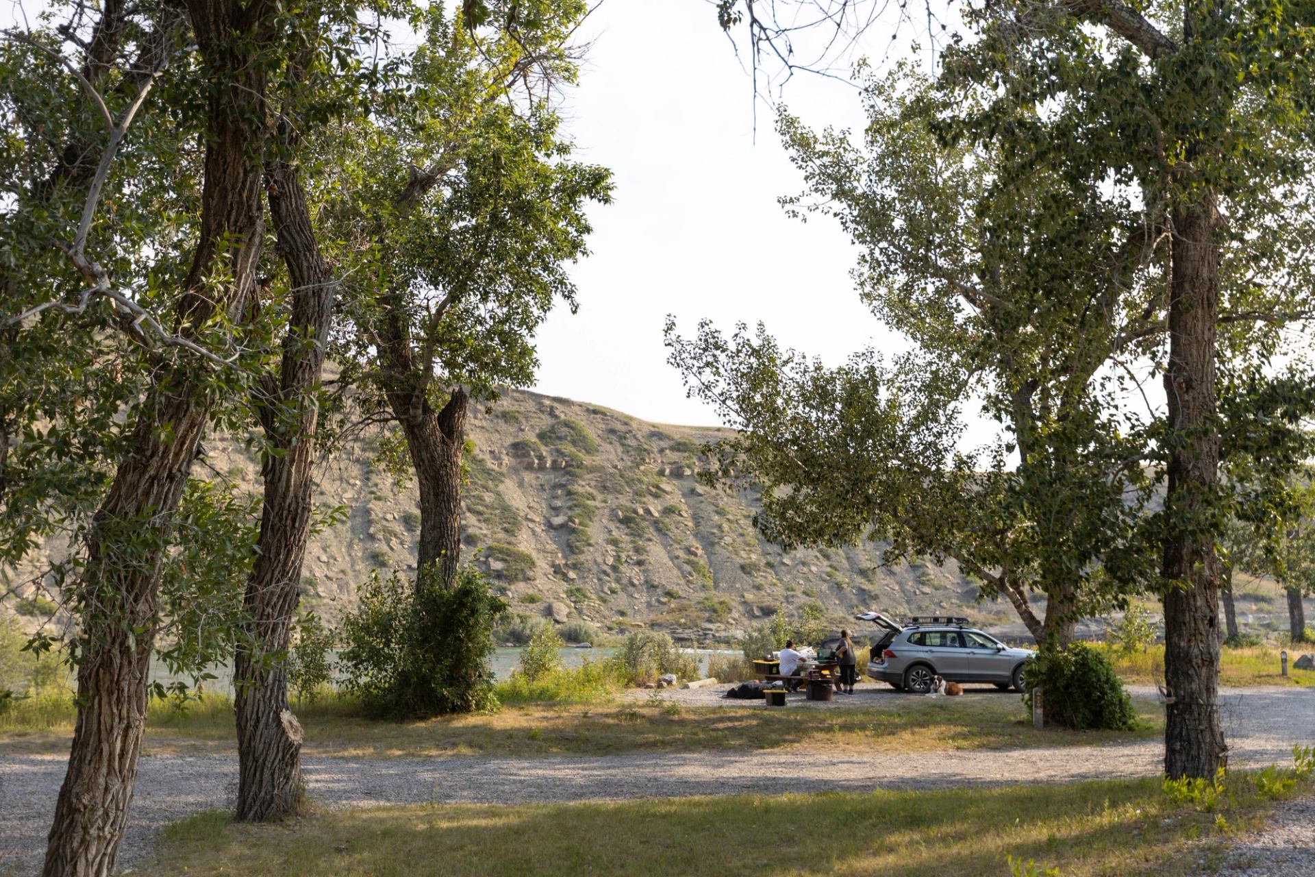 A site at Cottonwood Campground.