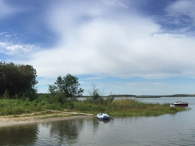 A grassy lakeshore with a small paddleboat resting near reeds and calm water beyond