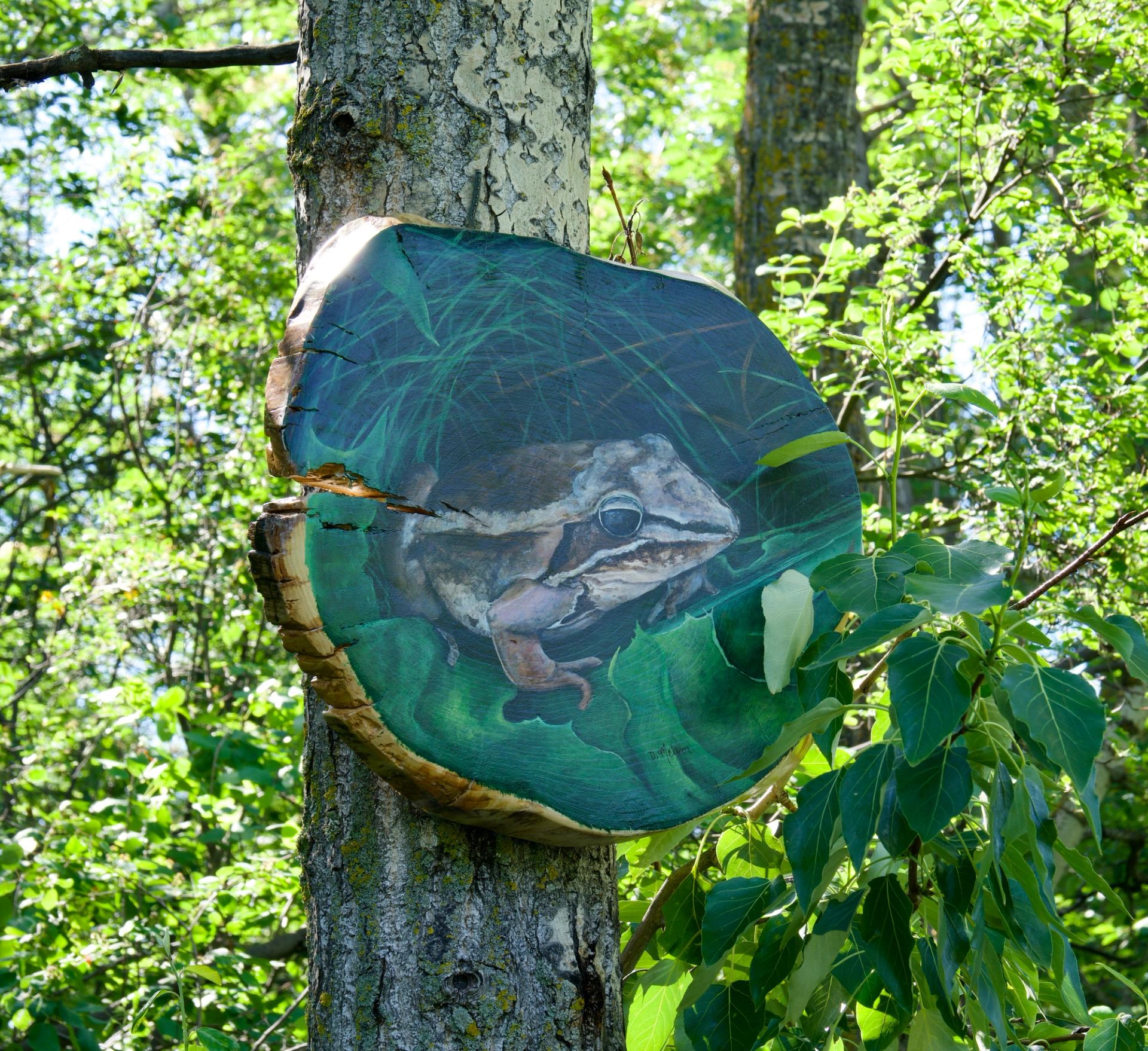 Round tree slice painting of a frog mounted on a trunk amid dense leaves.