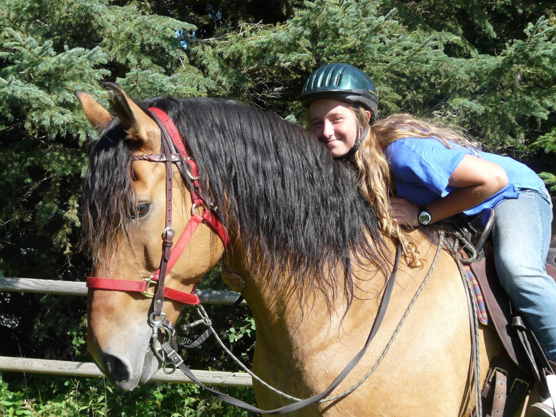 A young girl leaned in riding her horse.