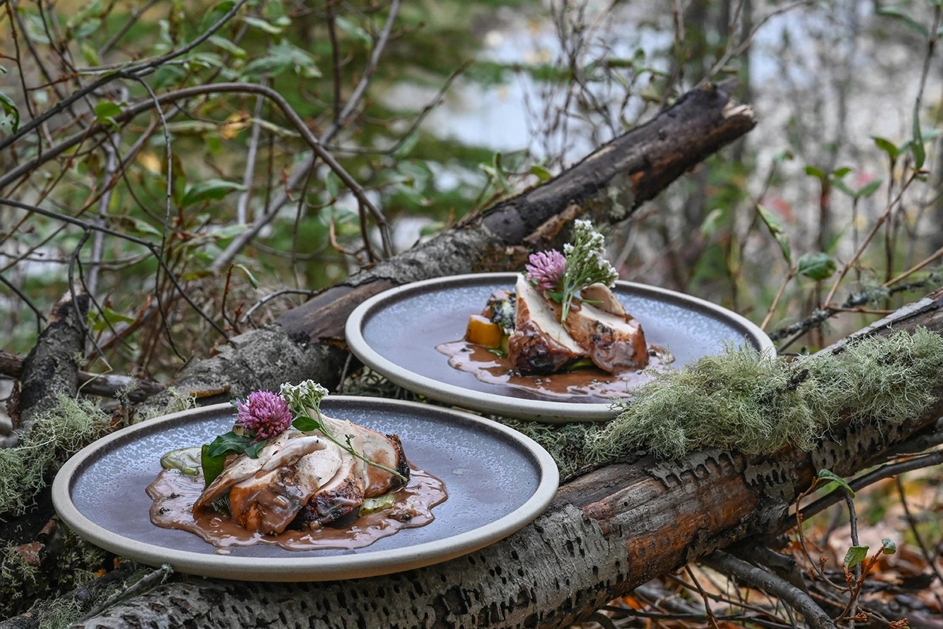 Two plated meat dishes with sauce and edible flowers on mossy logs in forest.