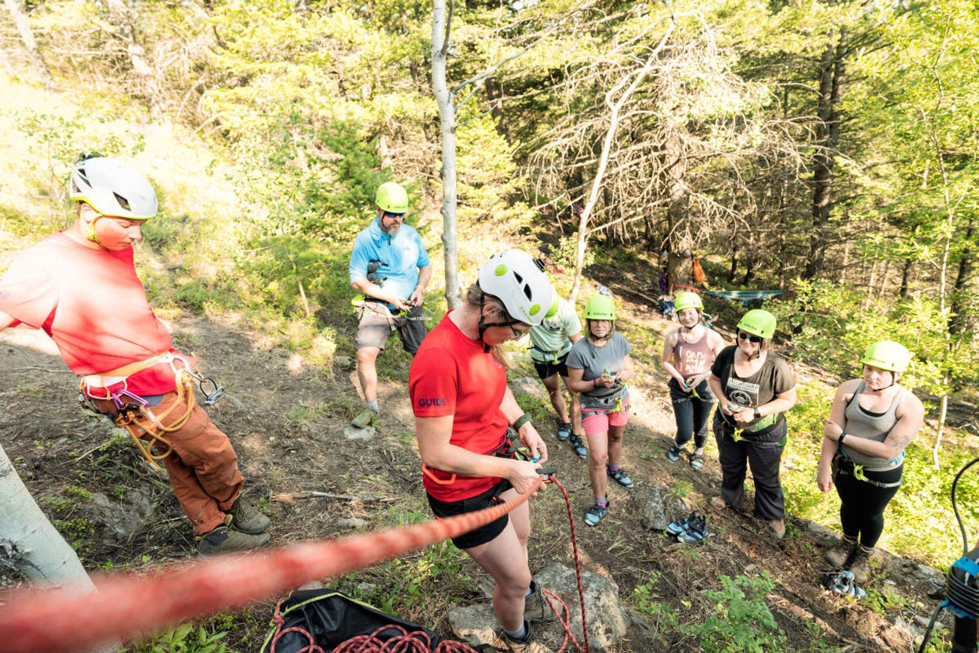 Rock climbing group wearing helmets and harnesses gathers on forested slope with ropes.