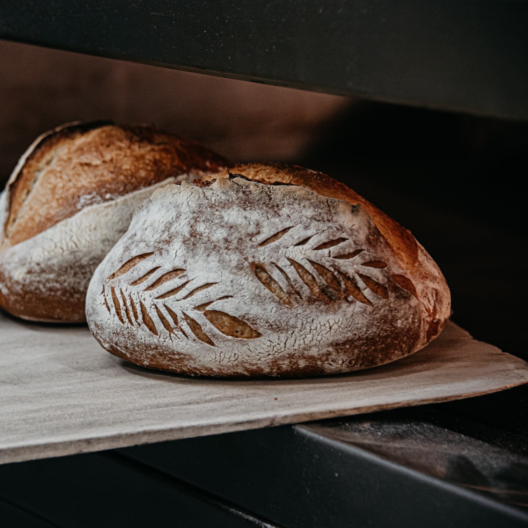 Sourdough loaves with leaf-shaped cuts on a wooden serving board.