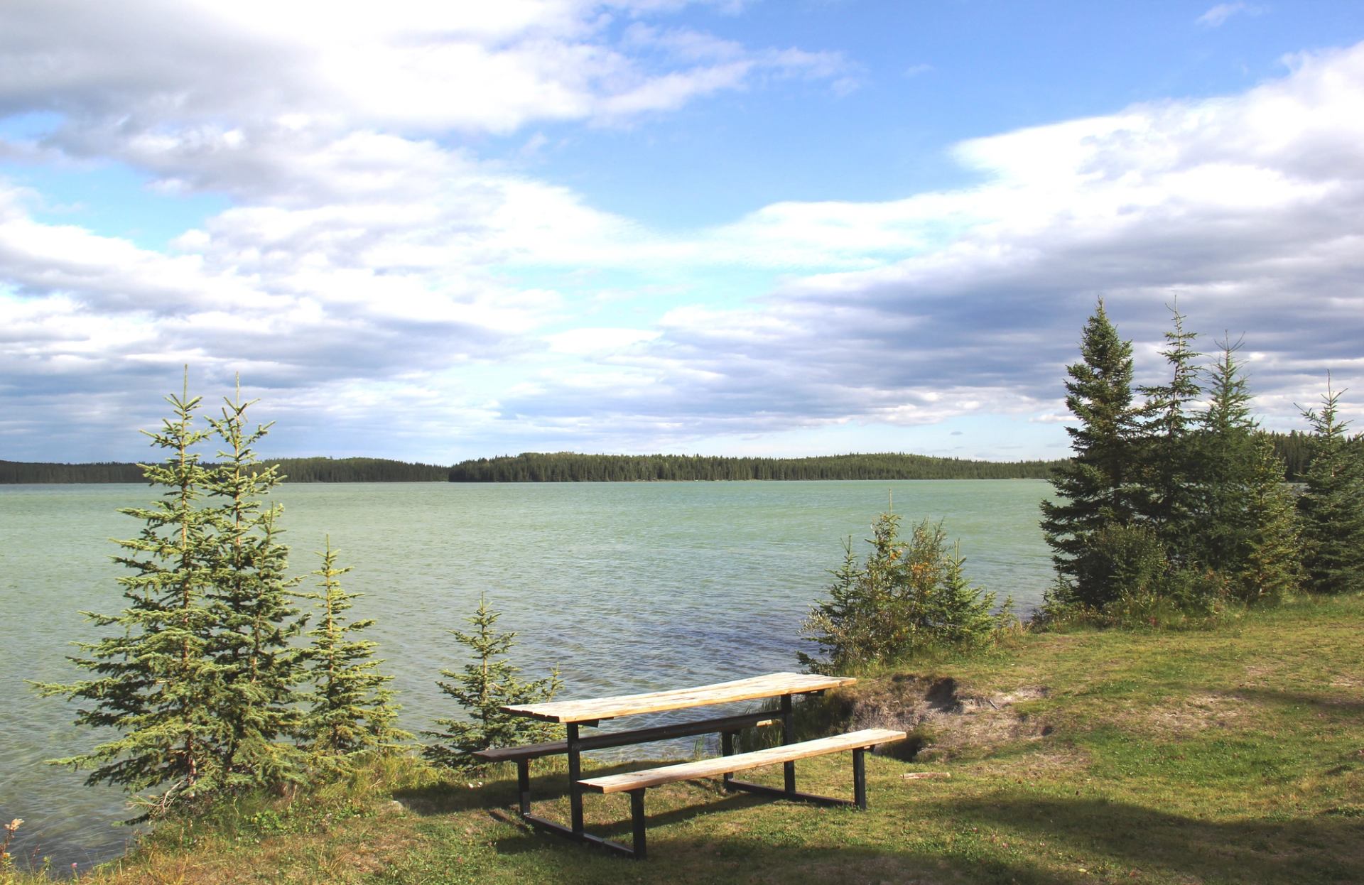 Wooden picnic table beside green lake, surrounded by evergreen trees under cloudy sky.