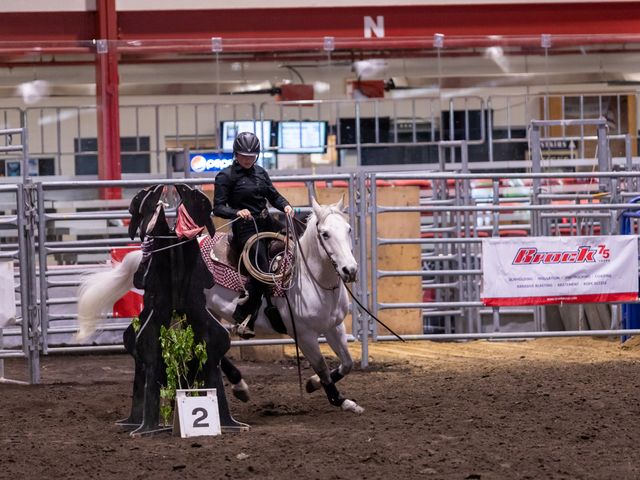 Leduc Black Gold Pro Rodeo | Canada's Alberta