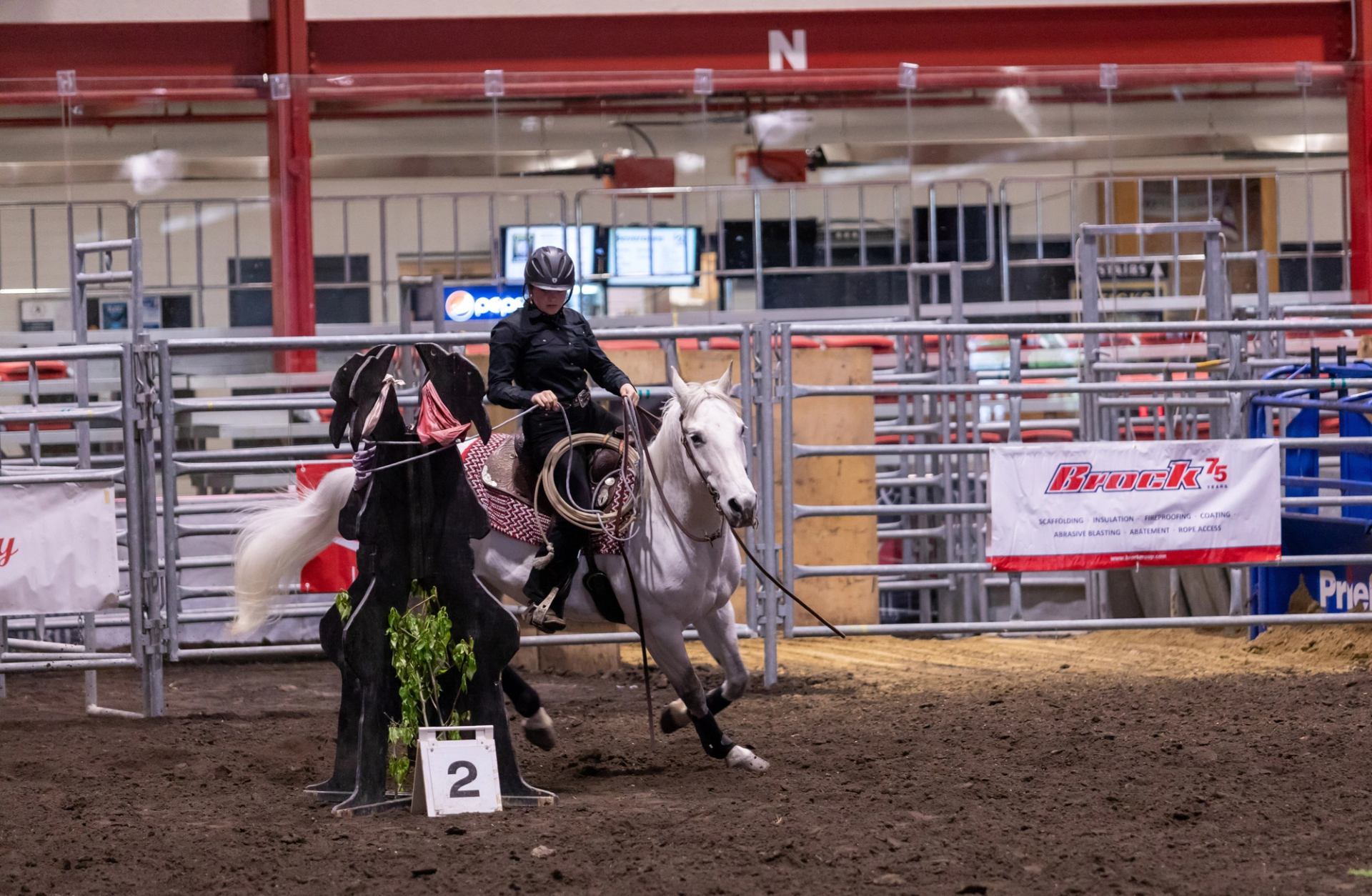 A rider on a white horse maneuvers around a mock calf setup in an indoor rodeo arena.