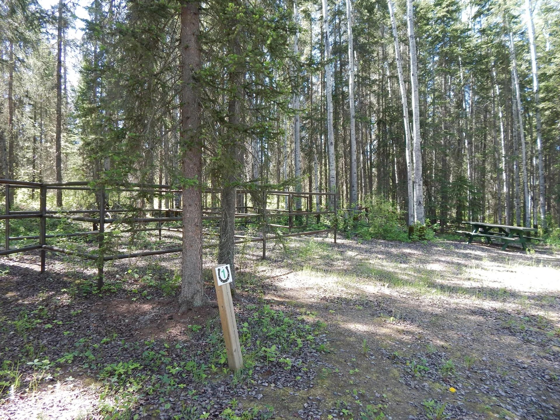 Forest campsite with horse corral, horseshoe signpost and green picnic table among trees.