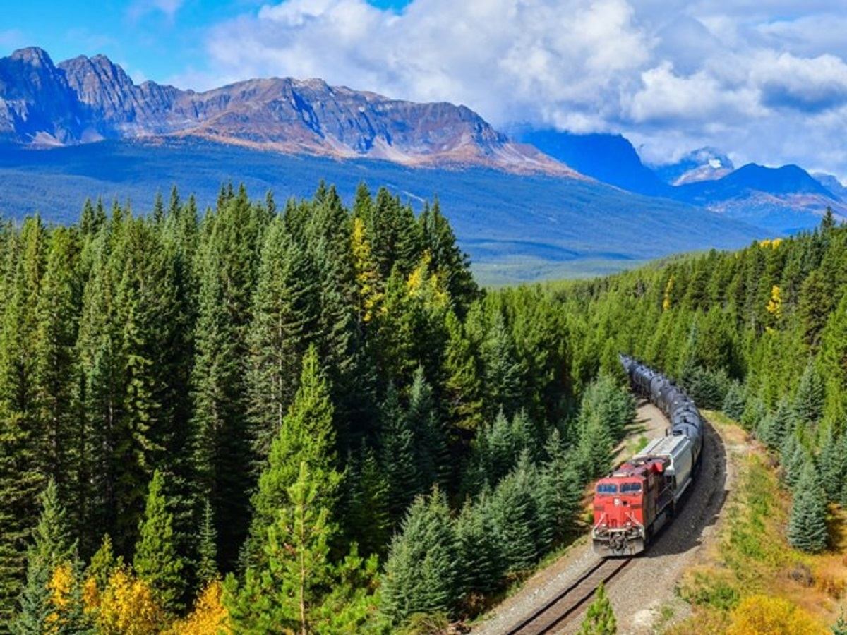 Into the Wild Tours | Canada's Alberta thumbnail