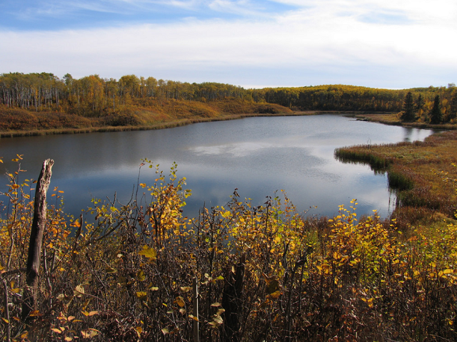 Scenic shot of pond near Miquelon Lake Campground.