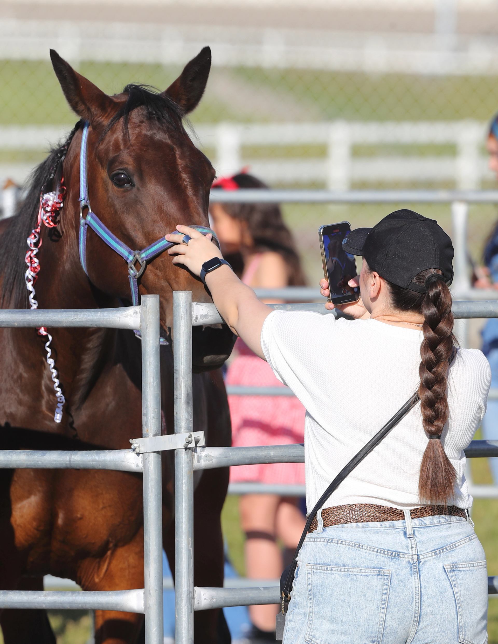 Person taking a photo of a horse decorated with red and white accessories inside a paddock area.
