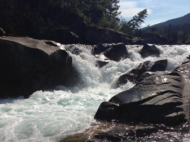 White water rapids flowing over rocks in a river with trees and hills in the background.