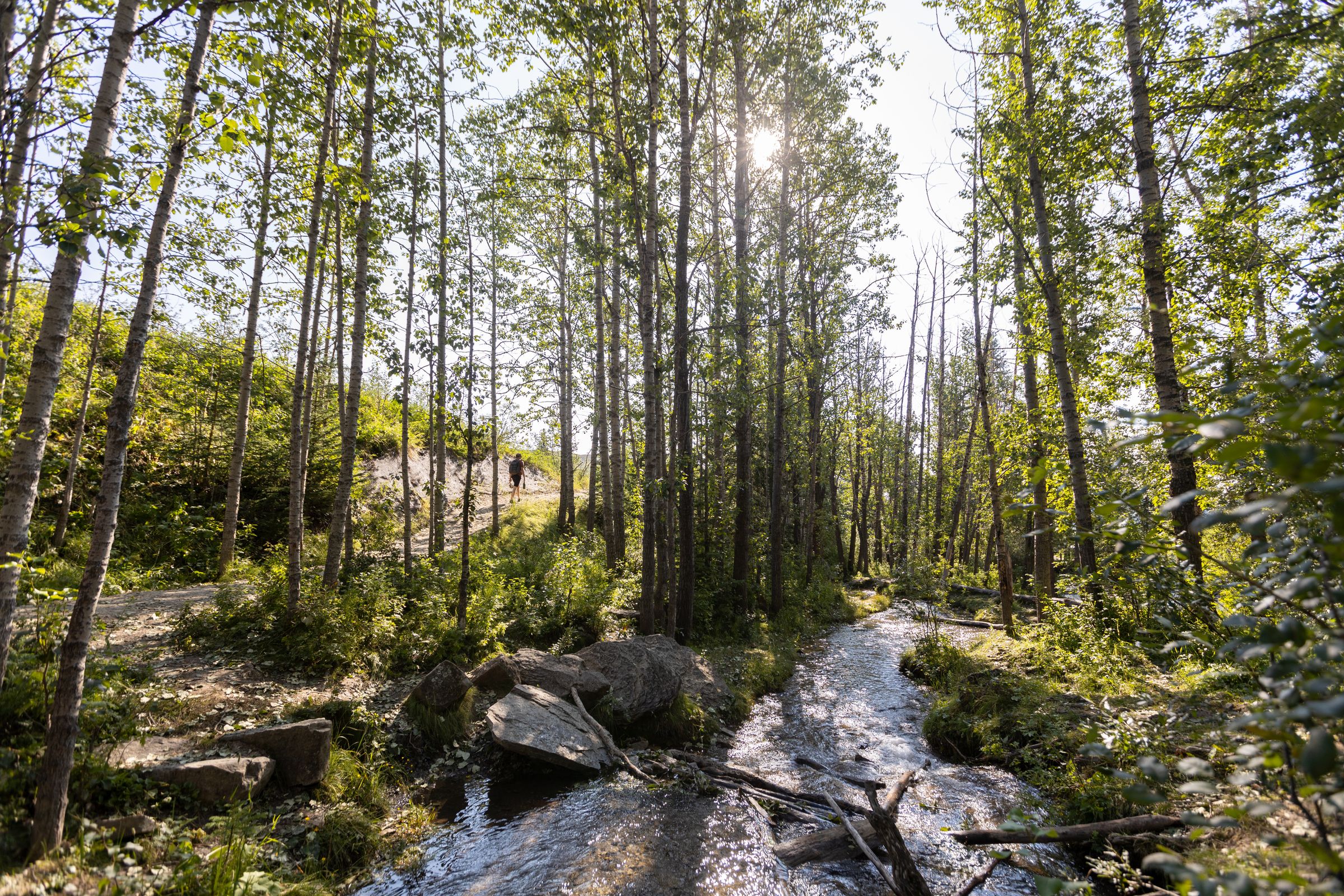 Big Hill Springs Provincial Park | Canada's Alberta thumbnail