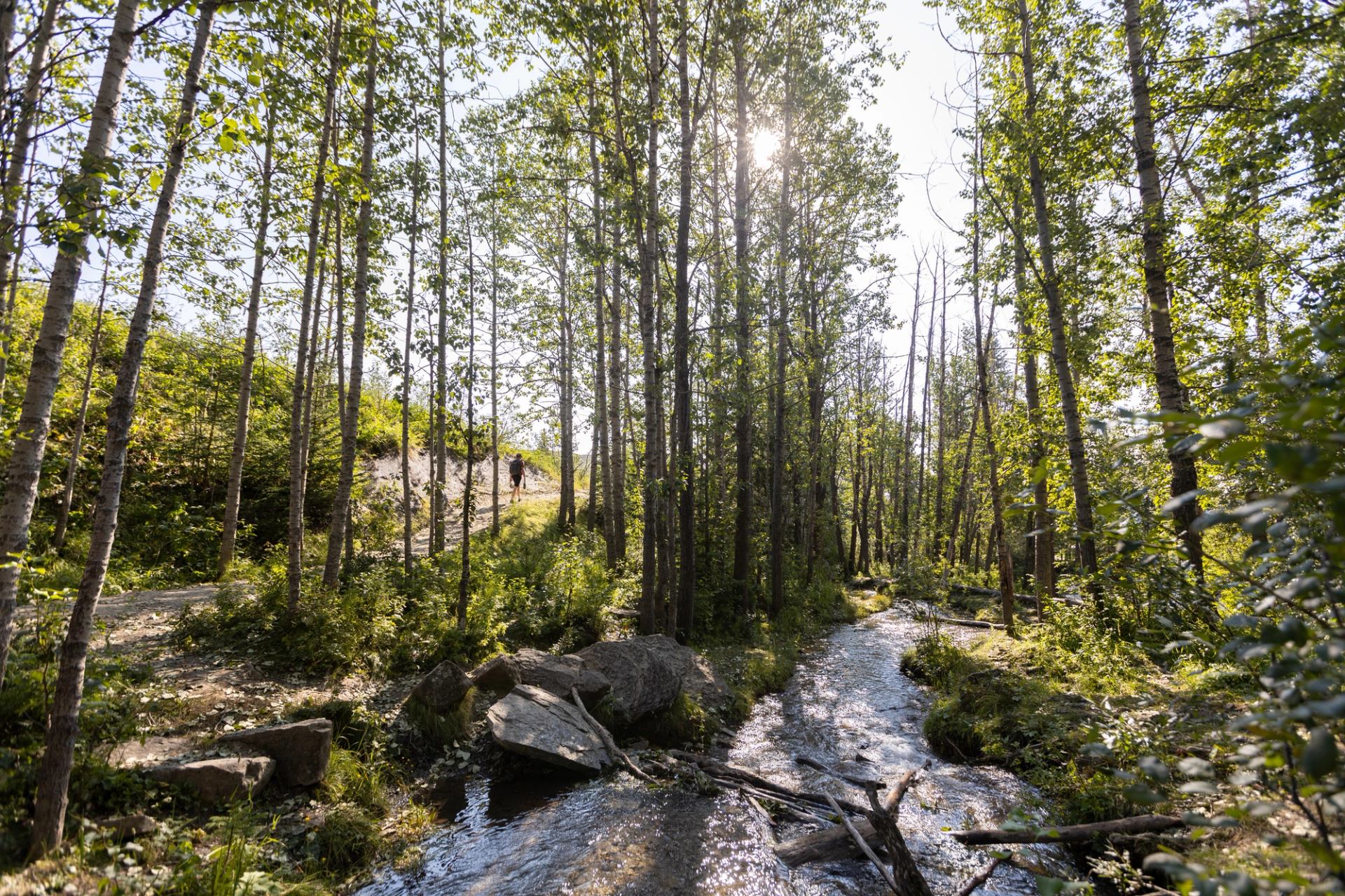 A stream at Big Hill Springs.