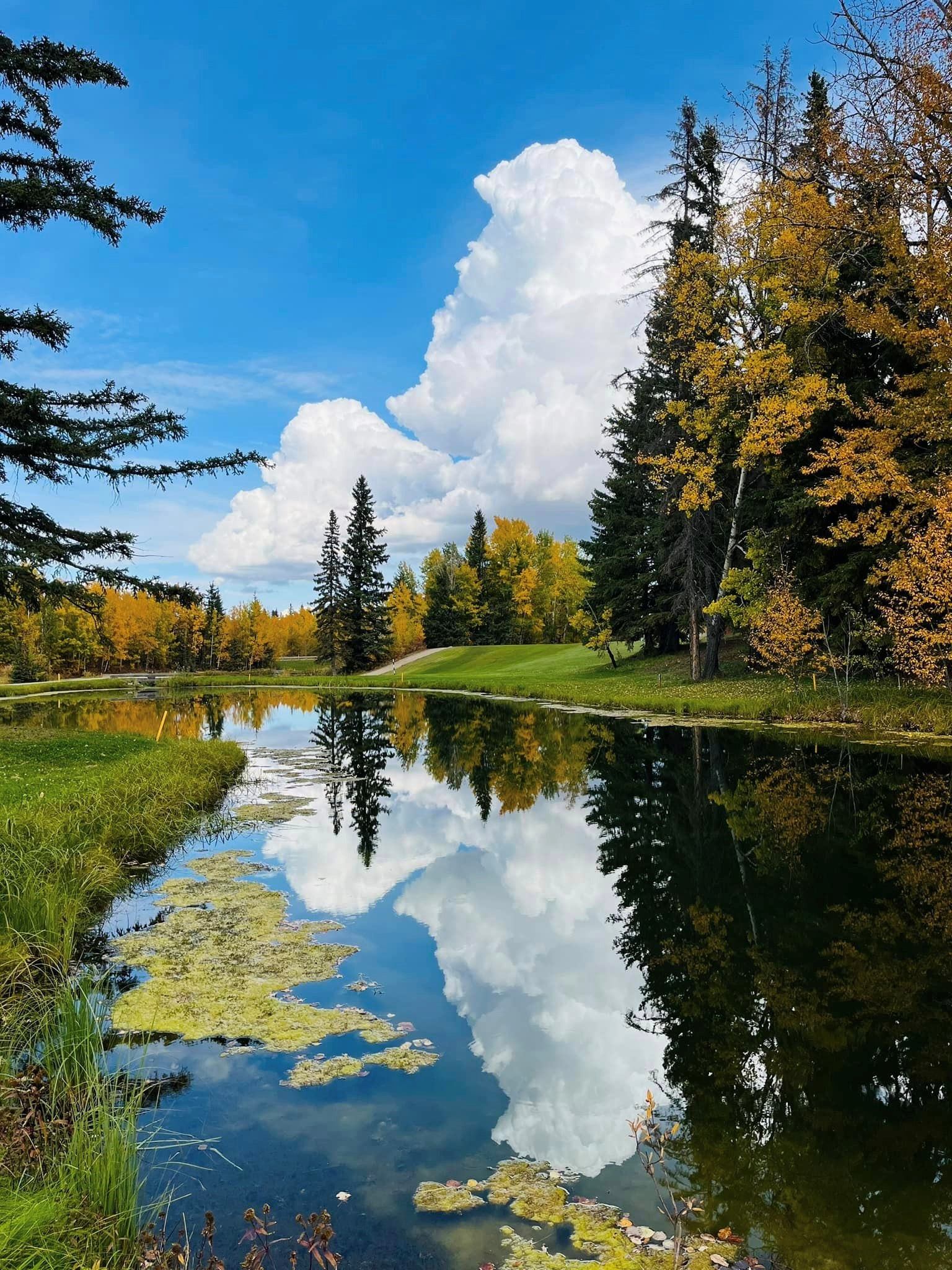 Black Bull Golf Resort | Canada's Alberta thumbnail