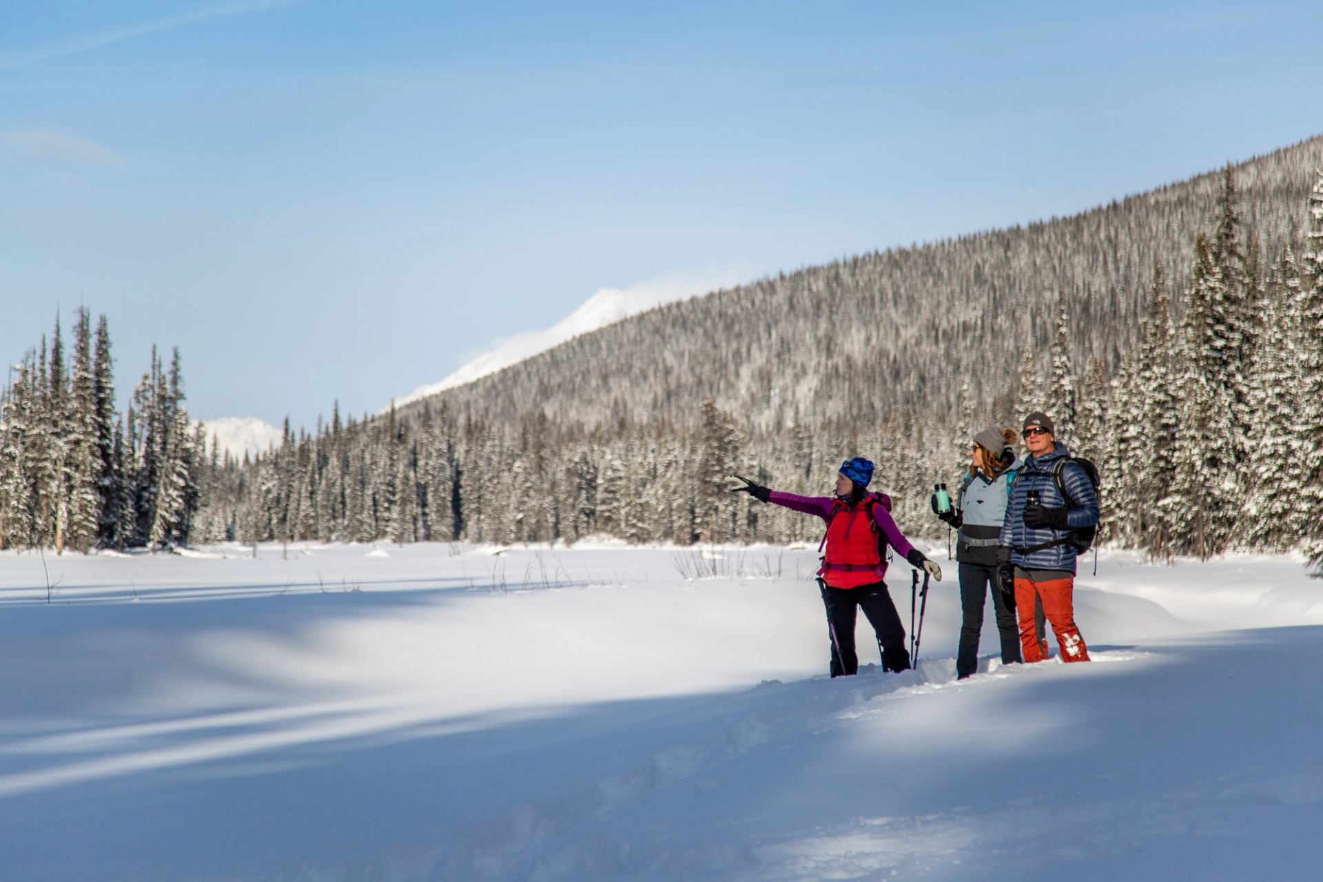 Three people standing in deep snow pointing toward pine trees and mountain peaks