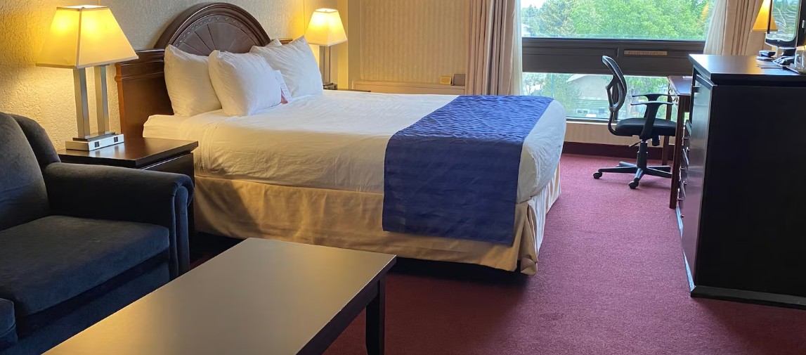 Hotel room with bed, chair, desk, and window overlooking trees.