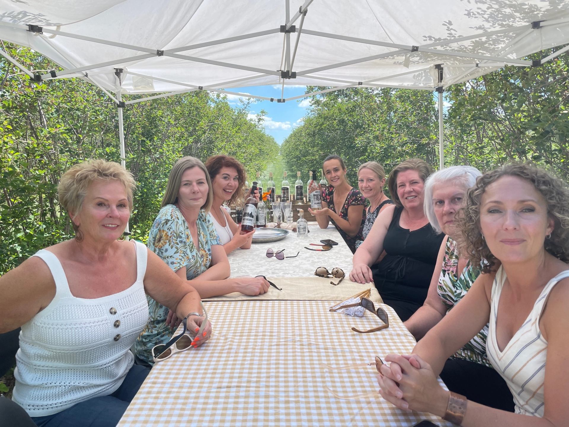 Group of people sitting under a canopy at a long outdoor table with drinks.