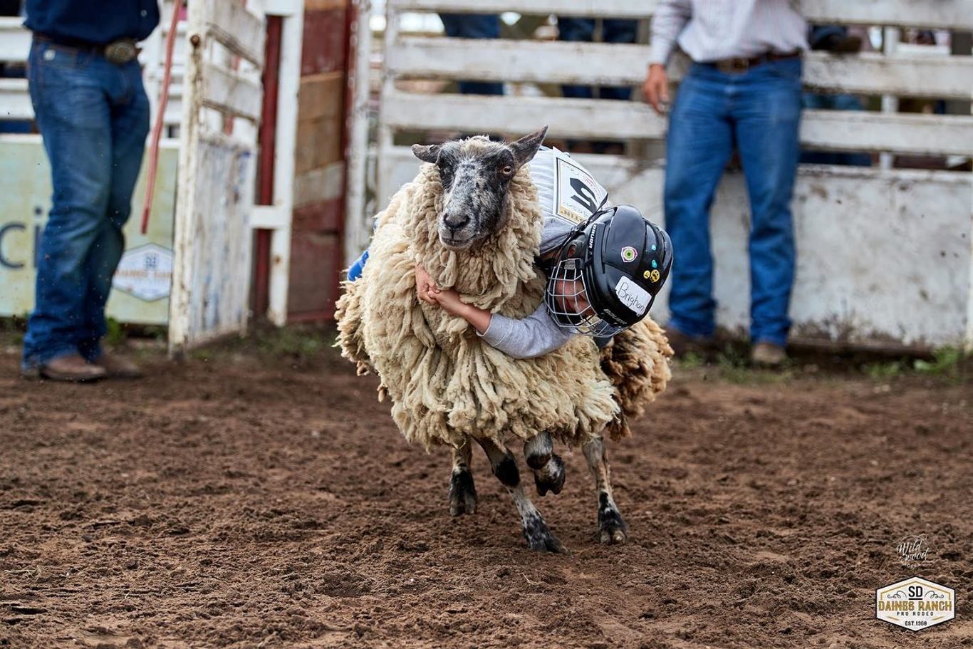Daines Ranch Pro Rodeo | Canada's Alberta
