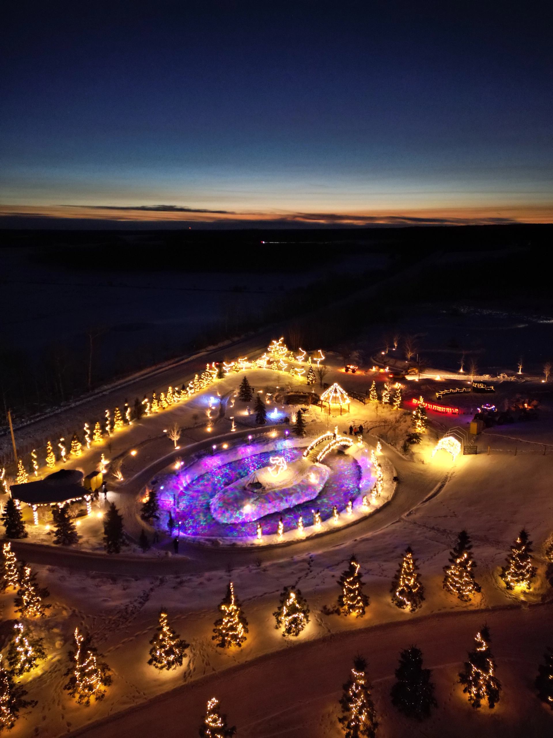 Illuminated ice rink and trees at Winter Wonderland Festival during sunset.
