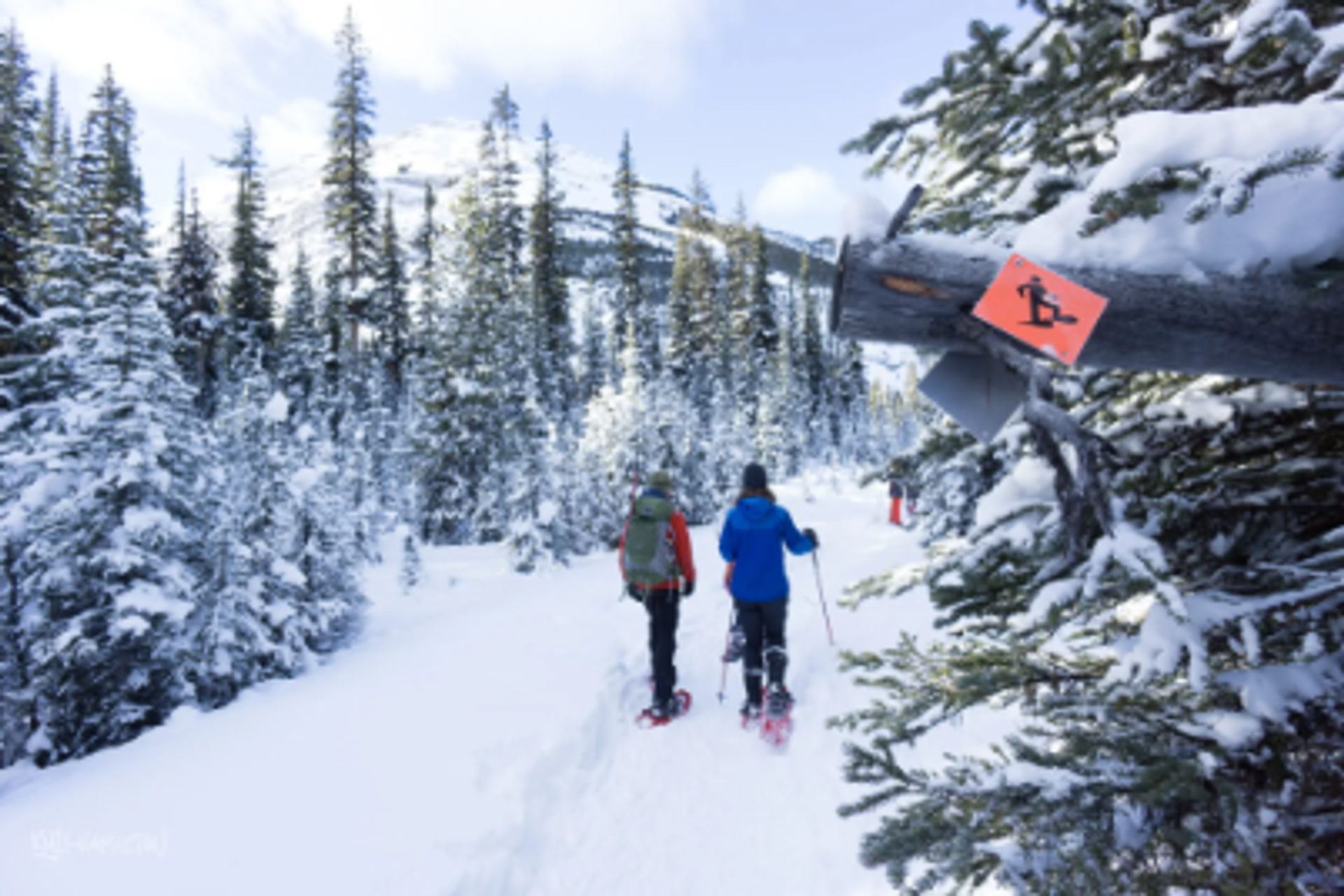 Two people snowshoeing on a snowy trail through a winter forest, past a snowshoeing sign, with snow-covered mountains in the background.