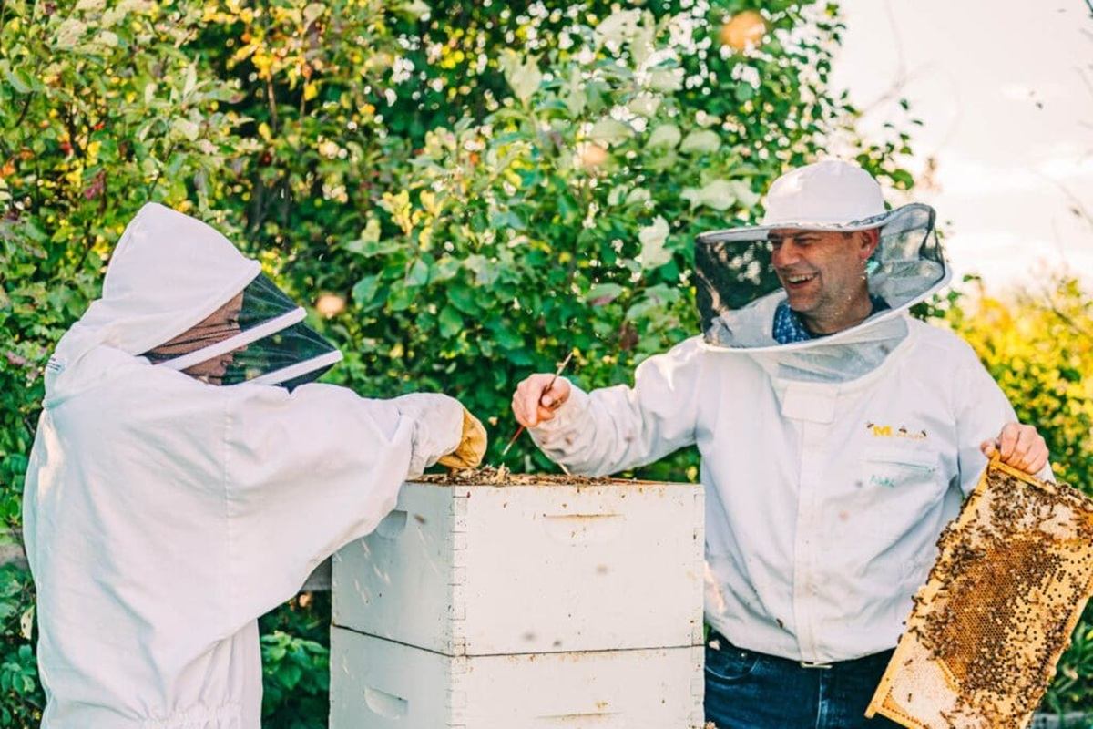 Beekeepers in protective suits inspect a white hive and honeycomb frame outdoors.