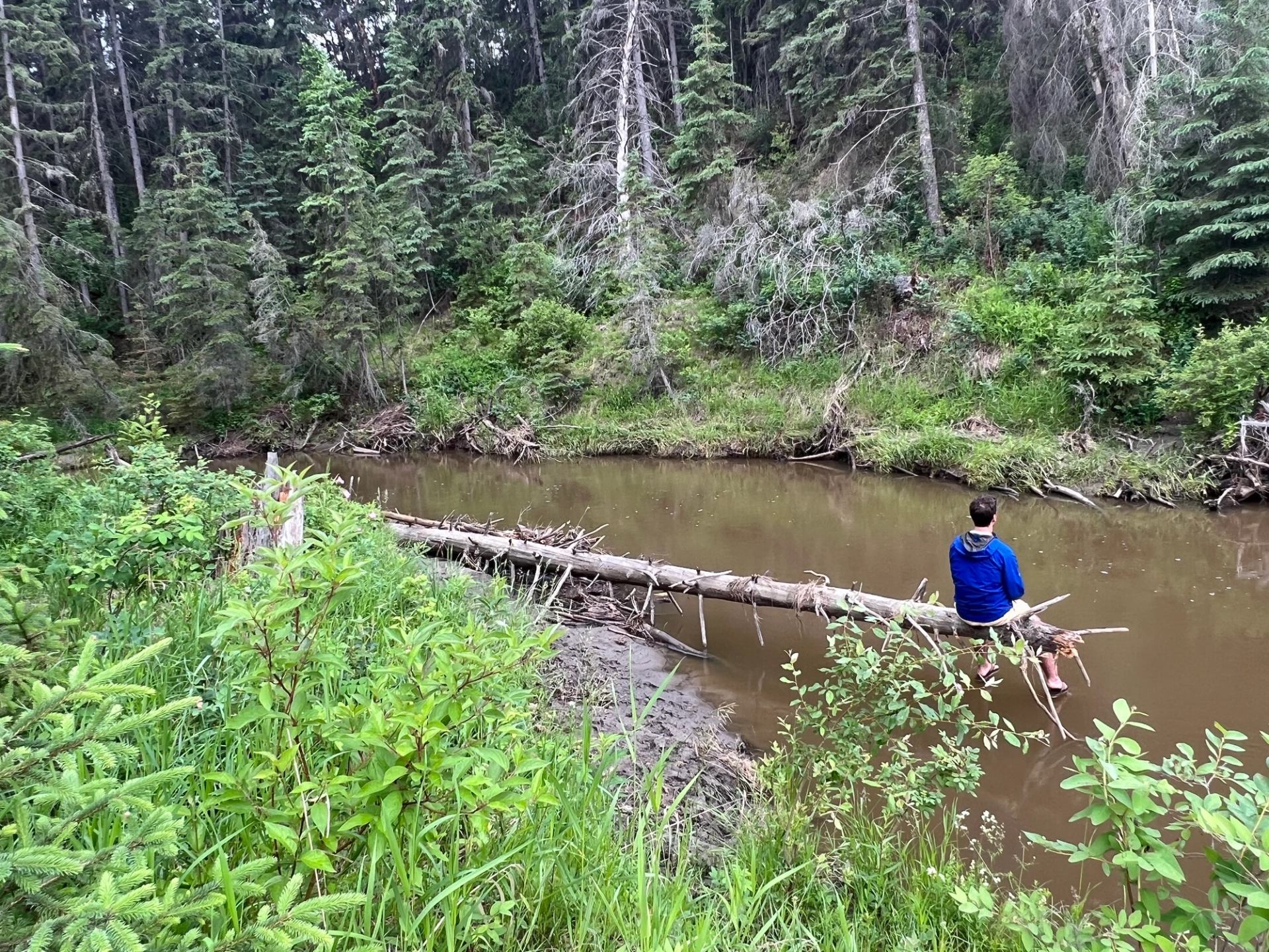A person sat on a log over a lake
