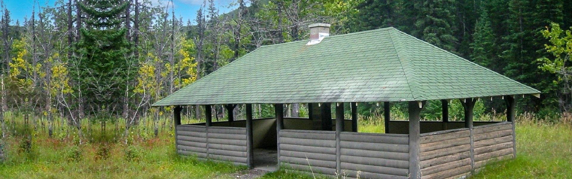 Open log shelter with green roof in a forest clearing at Oldman River North Campground.