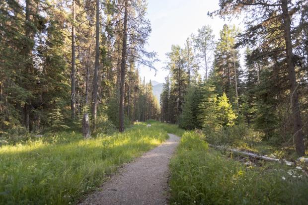 Hiking trail at Johnston Canyon Campground.