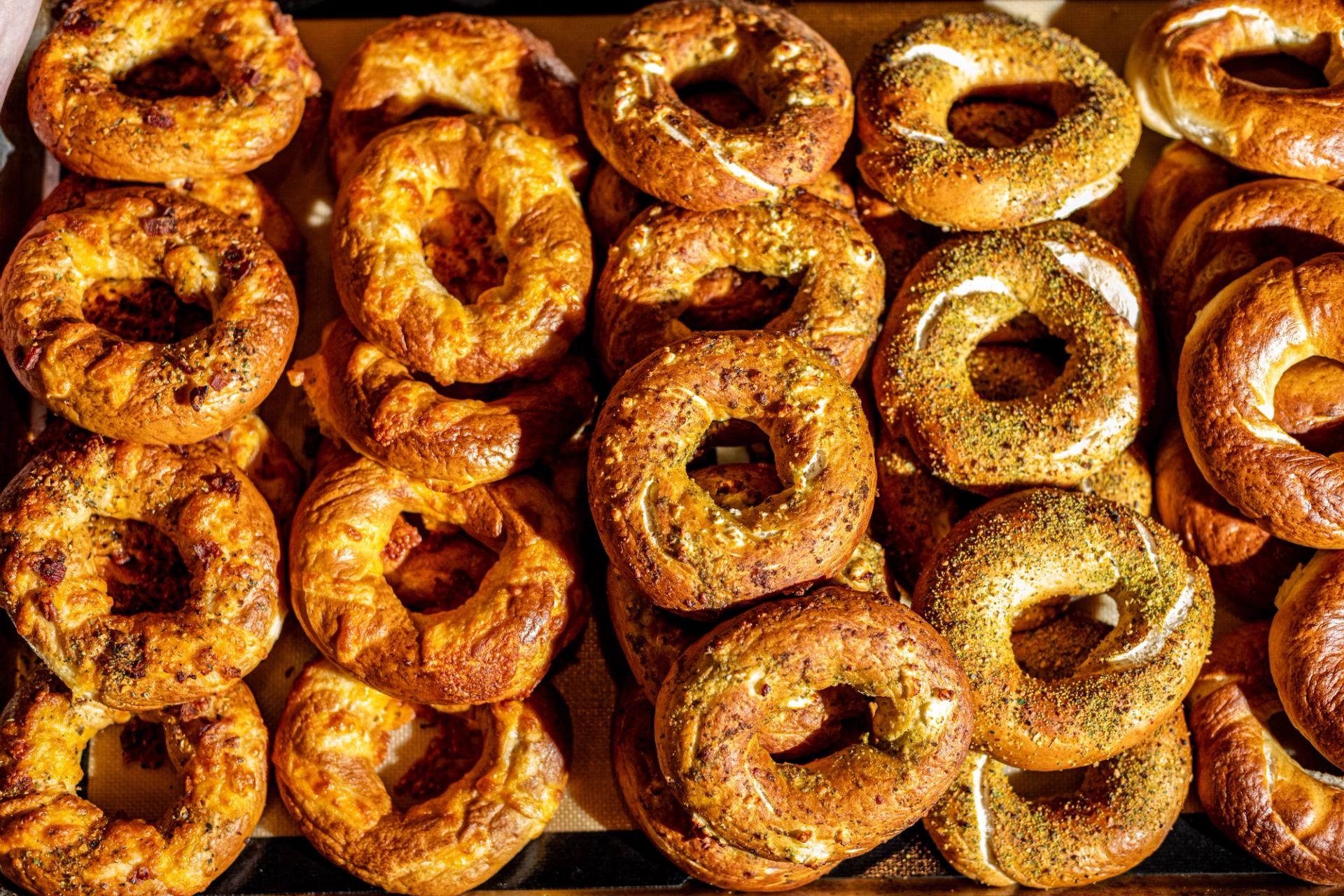 Freshly baked bagels in assorted flavors arranged tightly in rows on a bakery tray.