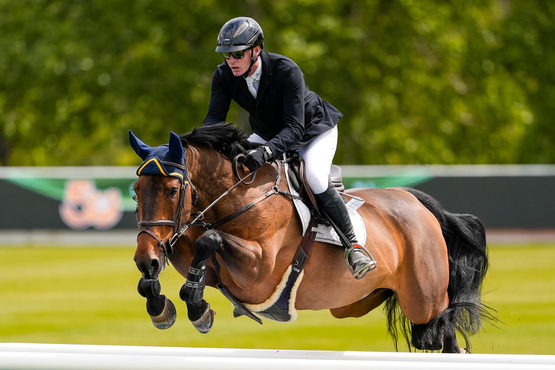 A show jumping horse and rider mid-jump over a white obstacle.