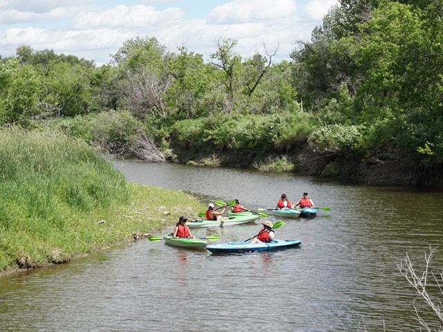 Group kayaking on calm river surrounded by lush greenery.