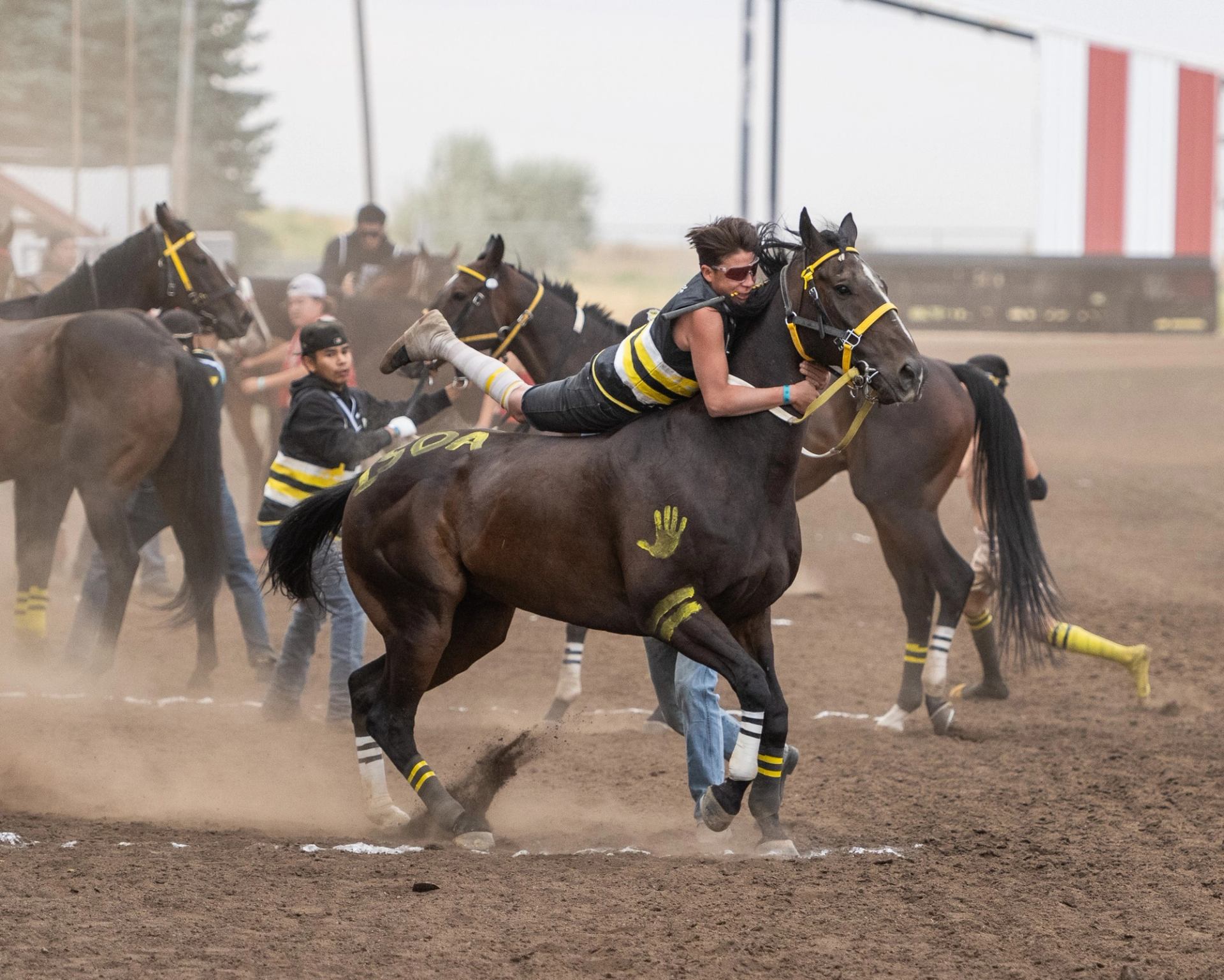 Rider clings to galloping horse on dusty track during bareback relay race.