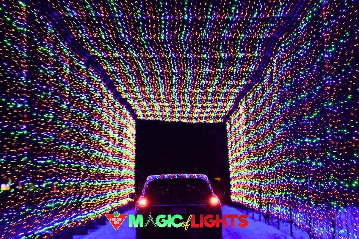 Car driving through a tunnel of colorful holiday lights at Magic of Lights.