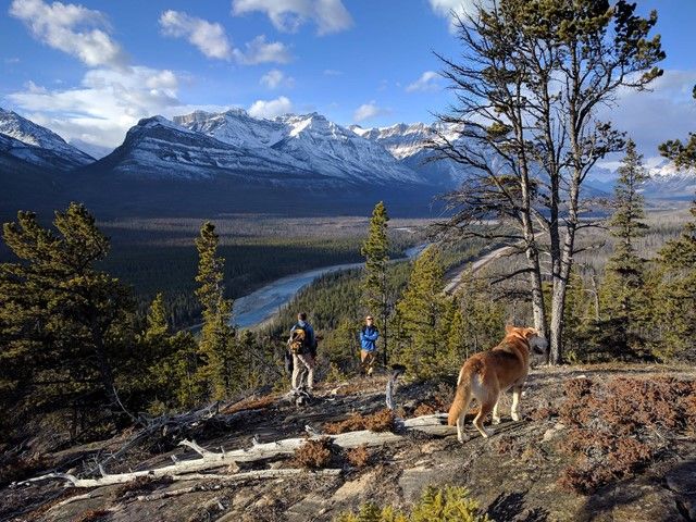 Group of people horse back riding in David Thompson Country.