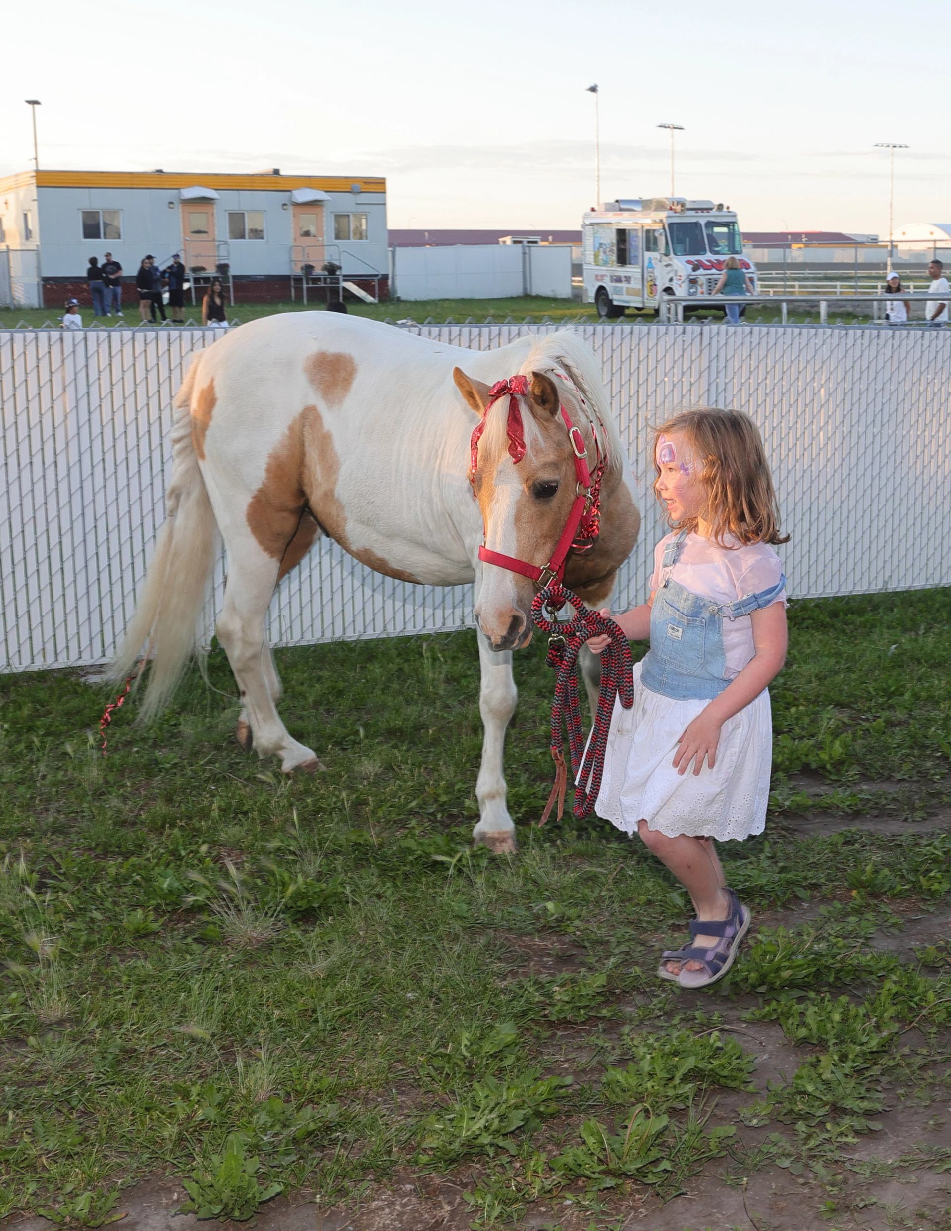 Child standing beside a small pony with a red halter and ribbon in a grassy area near a fence.