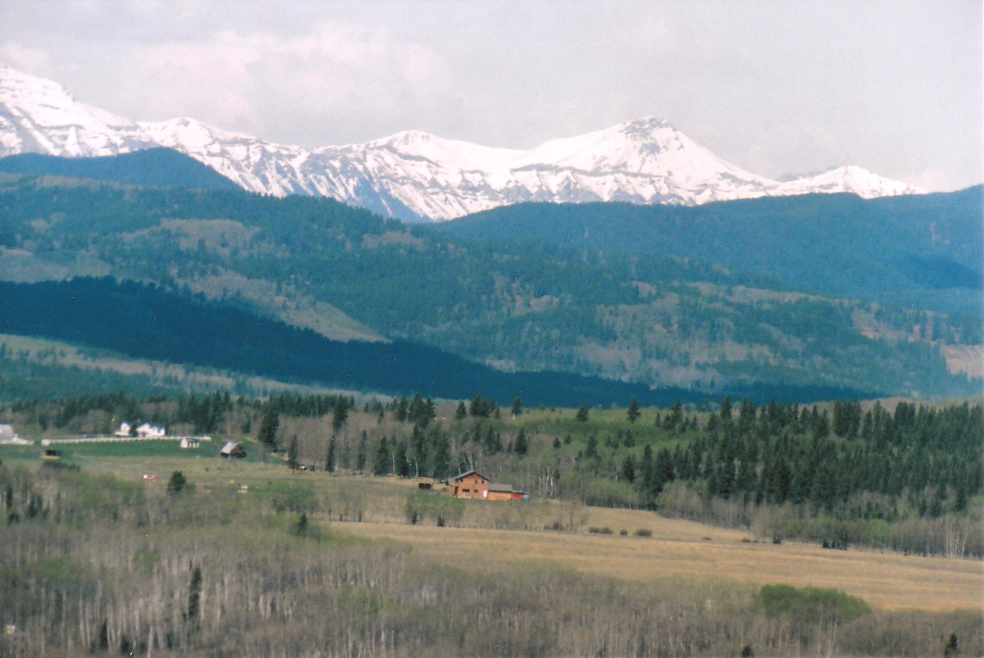 A view of Cedar Lodge with mountains in the background, showcasing a farm and house in the foreground.