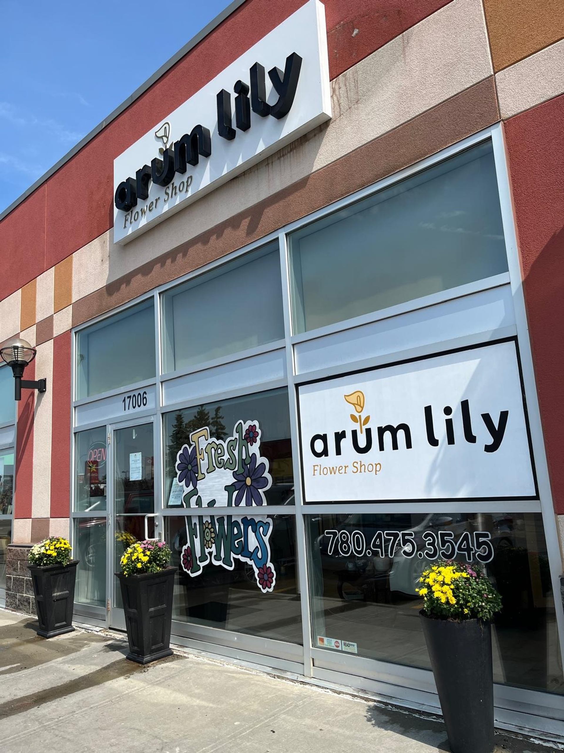 Arum Lily Flower Shop storefront with yellow blooms and glass window.