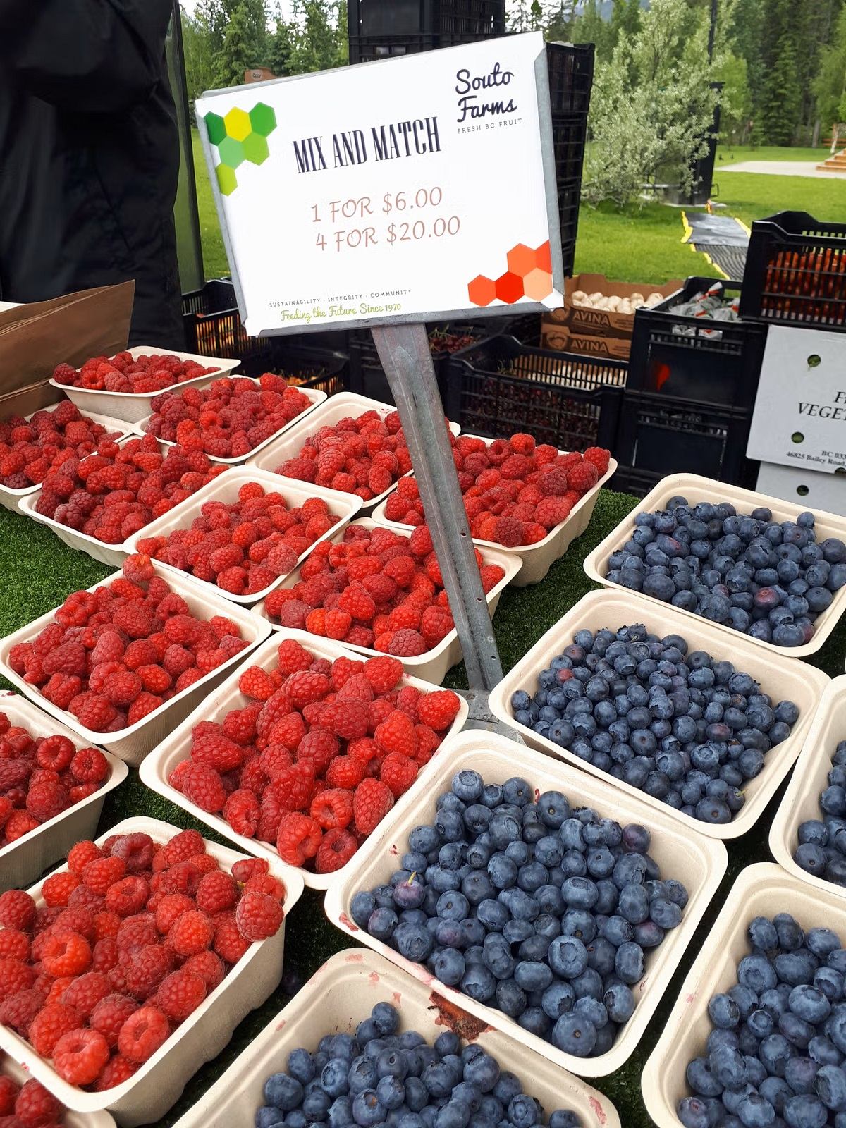 Fresh blueberries and raspberries