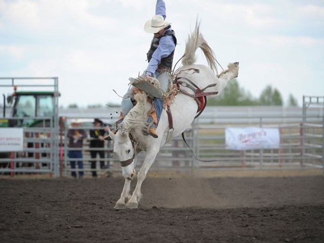 A saddle bronc rider sits atop a bucking white horse.