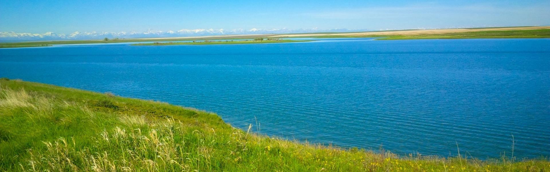 Blue reservoir with grassy shore and distant snowy mountains under a clear sky