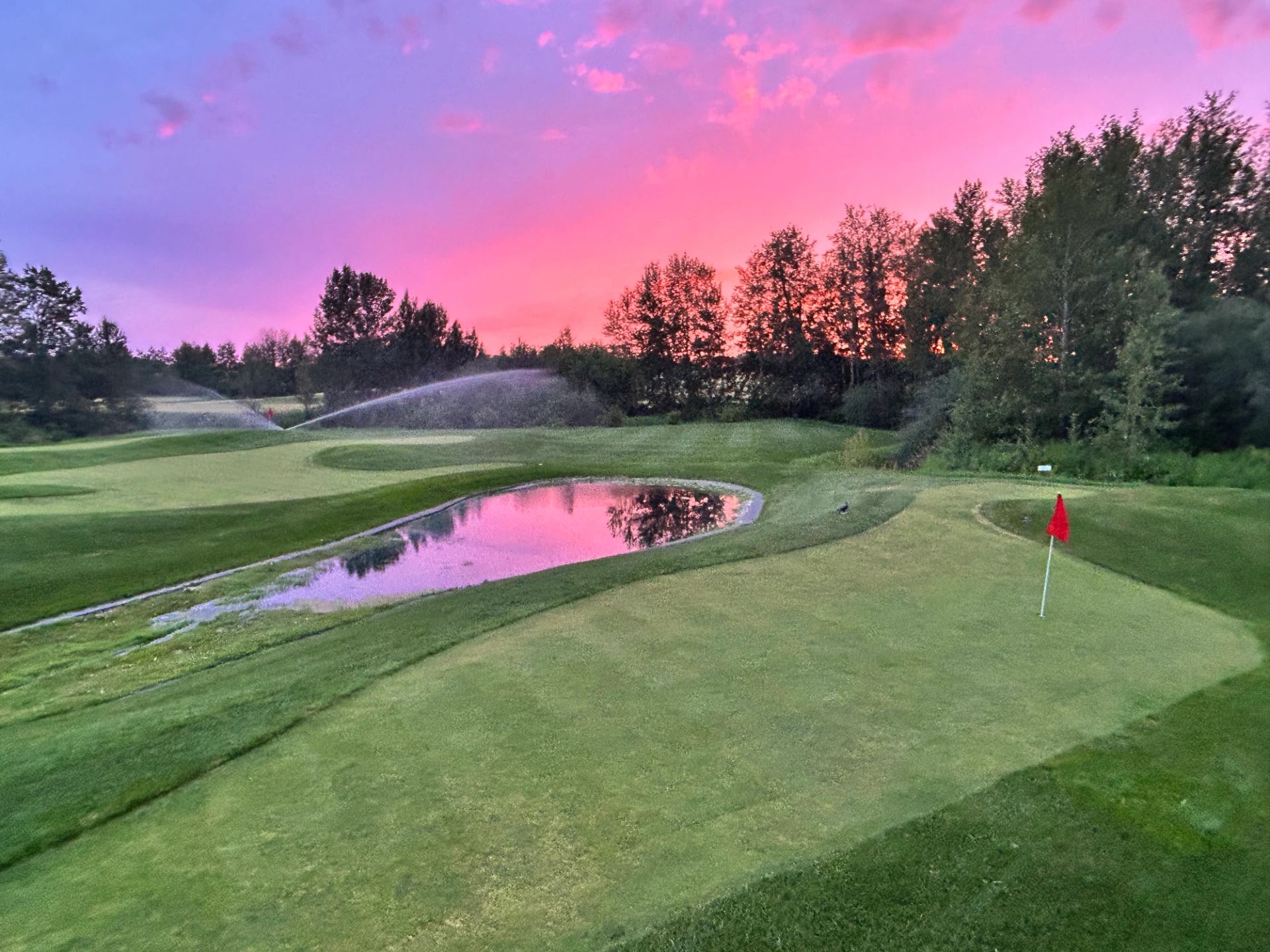 Mini golf course putting green with red flag, water hazard, and trees under a pink sky.