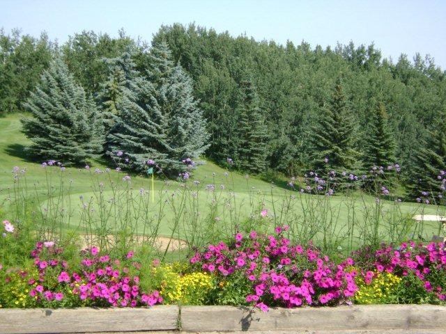 Flower bed beside golf green and flagstick, backed by evergreen and leafy trees.