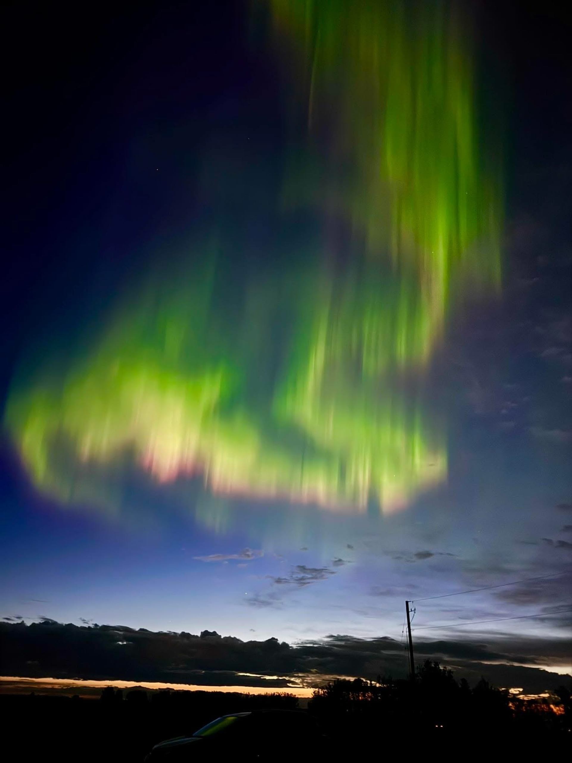 Green and pink aurora borealis over dark landscape with silhouetted trees and power pole.