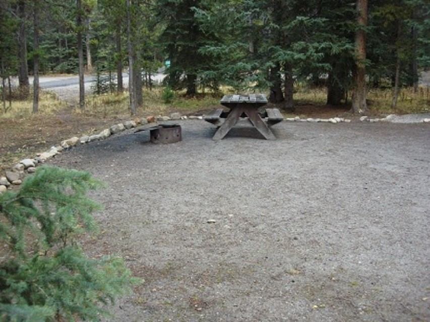 Forest campsite with picnic table, fire ring, and gravel ground.
