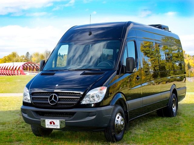 Black Mercedes Sprinter van by Ambassador Limousine parked on grass with trees and blue sky.