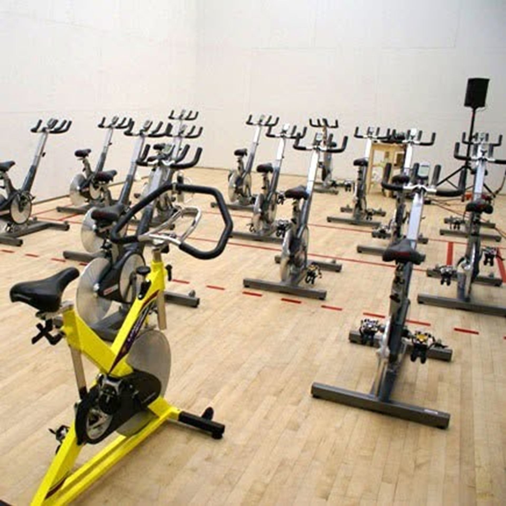 Indoor cycling studio with rows of stationary bikes on a light wood floor.