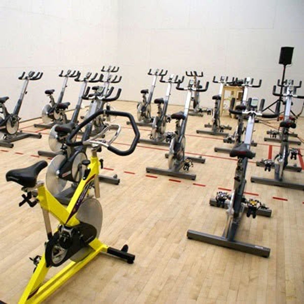 Indoor cycling studio with rows of stationary bikes on a light wood floor.